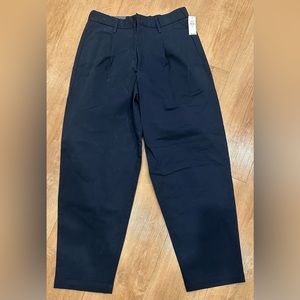 NWT Gap Relaxed Pleated Men Chinos